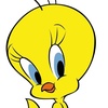 tweety.qaa