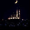 nahid_cfrzd
