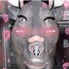 user3146802296053