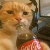 rsjrtiktok