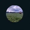 joel_001200