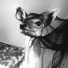 ll.l.ladyy