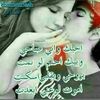 user87869306777880