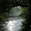 rnont33