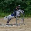 zk_equestrian_