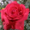 user2678001398623