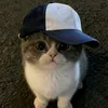 blueshiezl