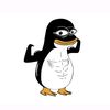 devrandom5