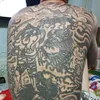 cuong.le7261