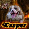 casperyseuz