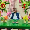 hafizaliraza3322
