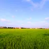 cao.xuan.huy3
