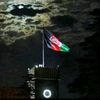 amirkhabn18