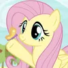 flutter_shy365