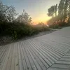 sttttolpe