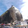 arbolera_6991