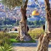 rahma.ban.alhacha
