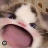 kenhgiaitri128