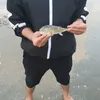 caothanhhai88