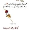 muhammadhussain77965