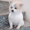 Tốt hơn mỗi ngày cùng Mazii