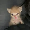mishasklyar