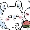 lenashishii