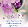 abdelrhman.musa