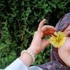 firdous_fifi8