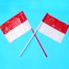 rinaaulia121