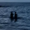 user011019971995