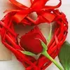 ali.shevan.sh