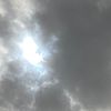 apple.user9496330