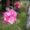 cris212348