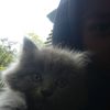 mynameisnrl_