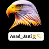 asad_jani.a1