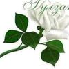 gulzat.joldosheva