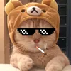 chanh_hog.chua