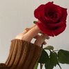 rania.saeed706