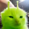 chaotic_catpilla