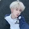dutaiphongtuan