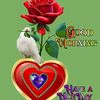 user51591402214540