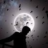 mdmahir2341