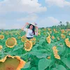 banhbao222389