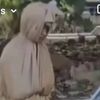 andy.perdana8