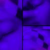 kaliged.taliso9782