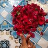 user60243051114