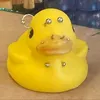 patocannibal