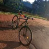 giovannilittmann7