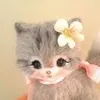 dolly01920